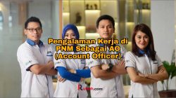 Pengalaman Kerja di PNM Sebagai AO (Account Officer) – Suka Duka