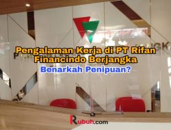 Pengalaman Kerja di PT Rifan Financindo Berjangka (RFB)